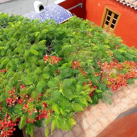 Rural House With Traditional Architecture S. Xix Santa Cruz de Tenerife