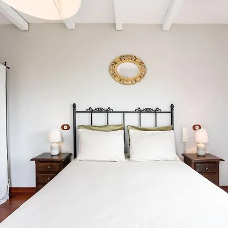 Rural House With Traditional Architecture S. Xix *